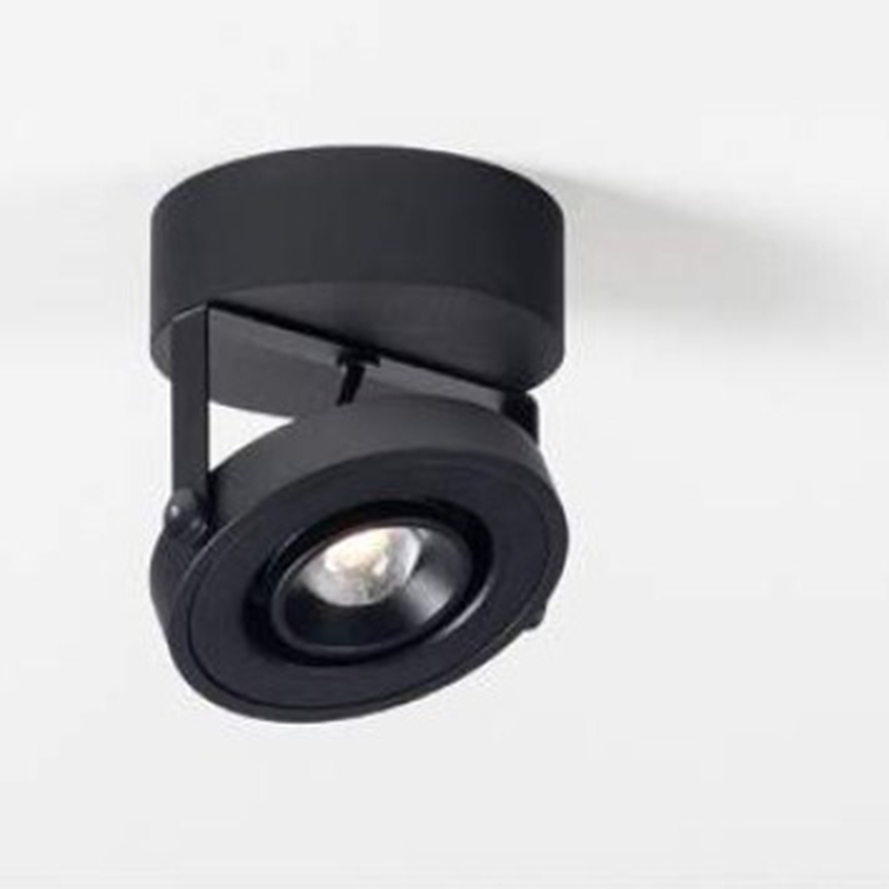 

Спот Chors 30.6112.a6B D+ L31 Snw Triac