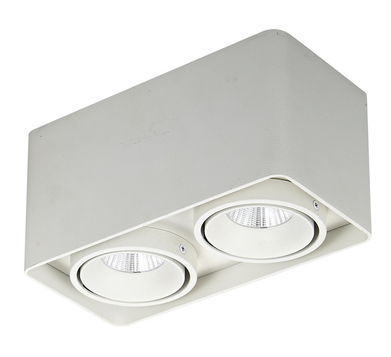 

Точечный светильник Italux Slc78005/20W Wh Bonnie