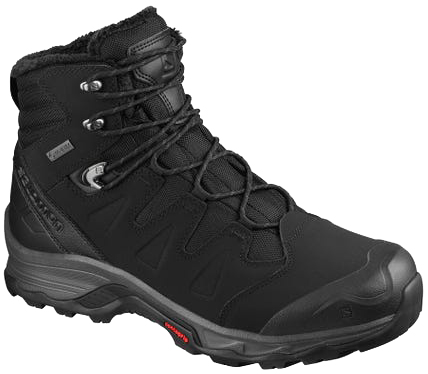 

Ботинки Salomon Quest Winter GTX L41110300 41.5 (8) 26 см Черный