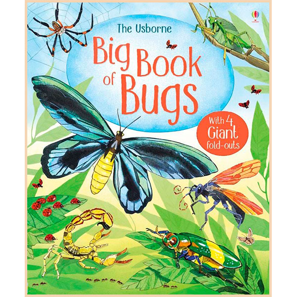 

Usborne Big Book of Bugs. Emily Bone. ISBN:9781474928960