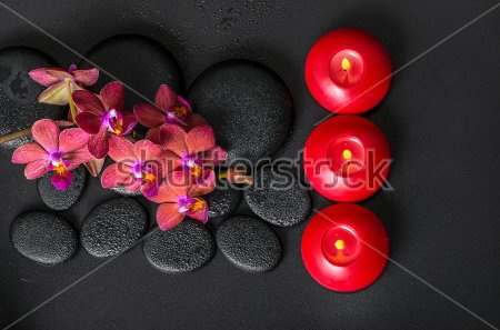 

Фотообои Сhameleons Орхидеи, свечи, камни (358619825)