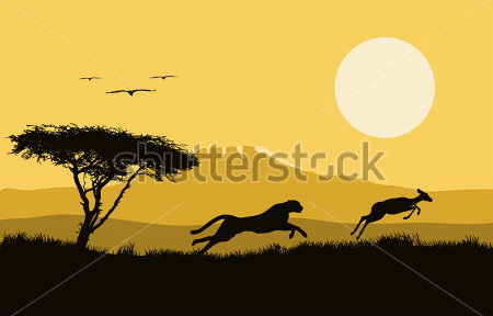 

Фотообои Сhameleons Дерево, леопард, закат (303773966)