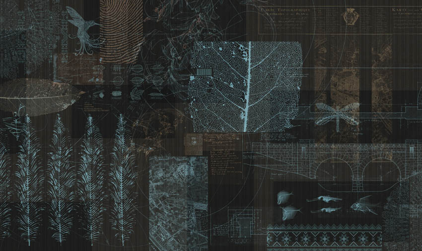 

Фотообои Сhameleons Принт для подростка (22449)