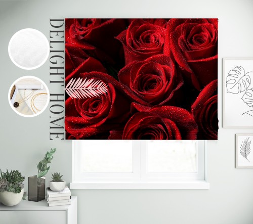 

Римская штора с фотопечатью 00-149 система Light I&H Джуси велюр 150*170 см