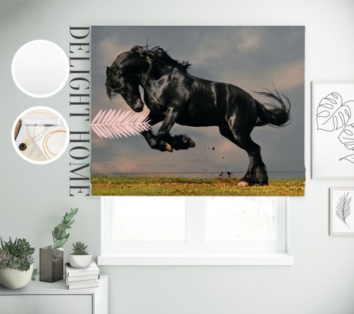 

Римская штора с фотопечатью 00-048 система Light I&H Джуси велюр 230*170 см