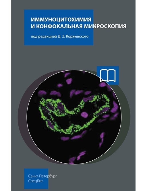 

Иммуноцитохимия и конфокальная микроскопия