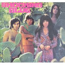 

Виниловая пластинка Shocking Blue - Scorpio"s Dance + 4 Bonus Tracks 1970/2010 (movlp118, 180 Gr.) EU Mint (art.216768)