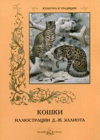 

Кошки (13094095)