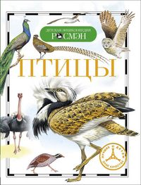 

Птицы (13004575)