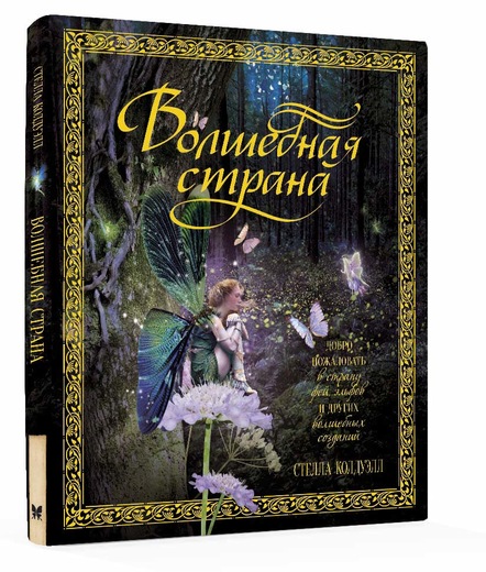 

Волшебная страна
