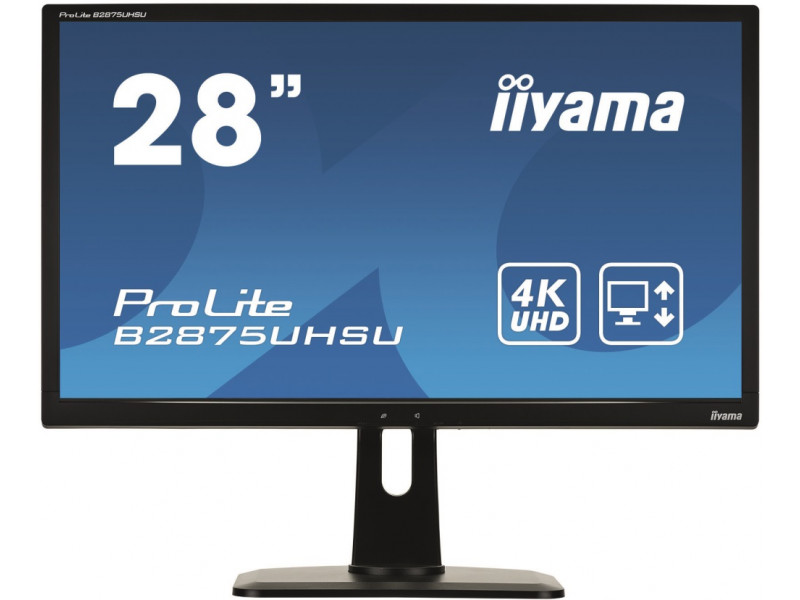 

Монитор Iiyama ProLite B2875UHSU-B1