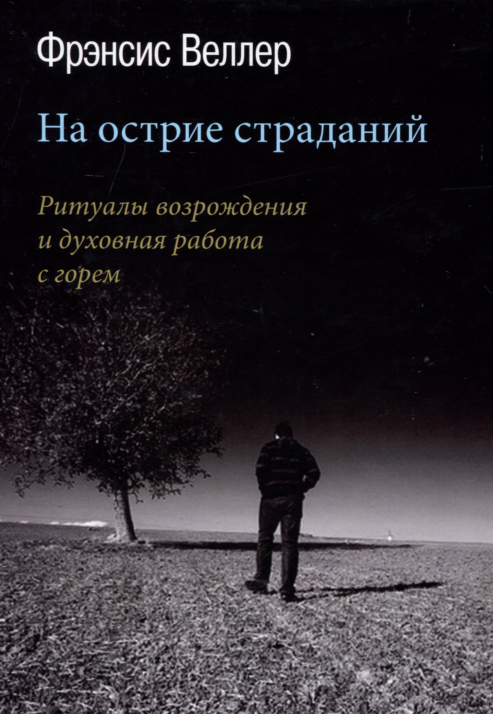 

На острие страданий - Фрэнсис Веллер (978-5-7312-0395-1)