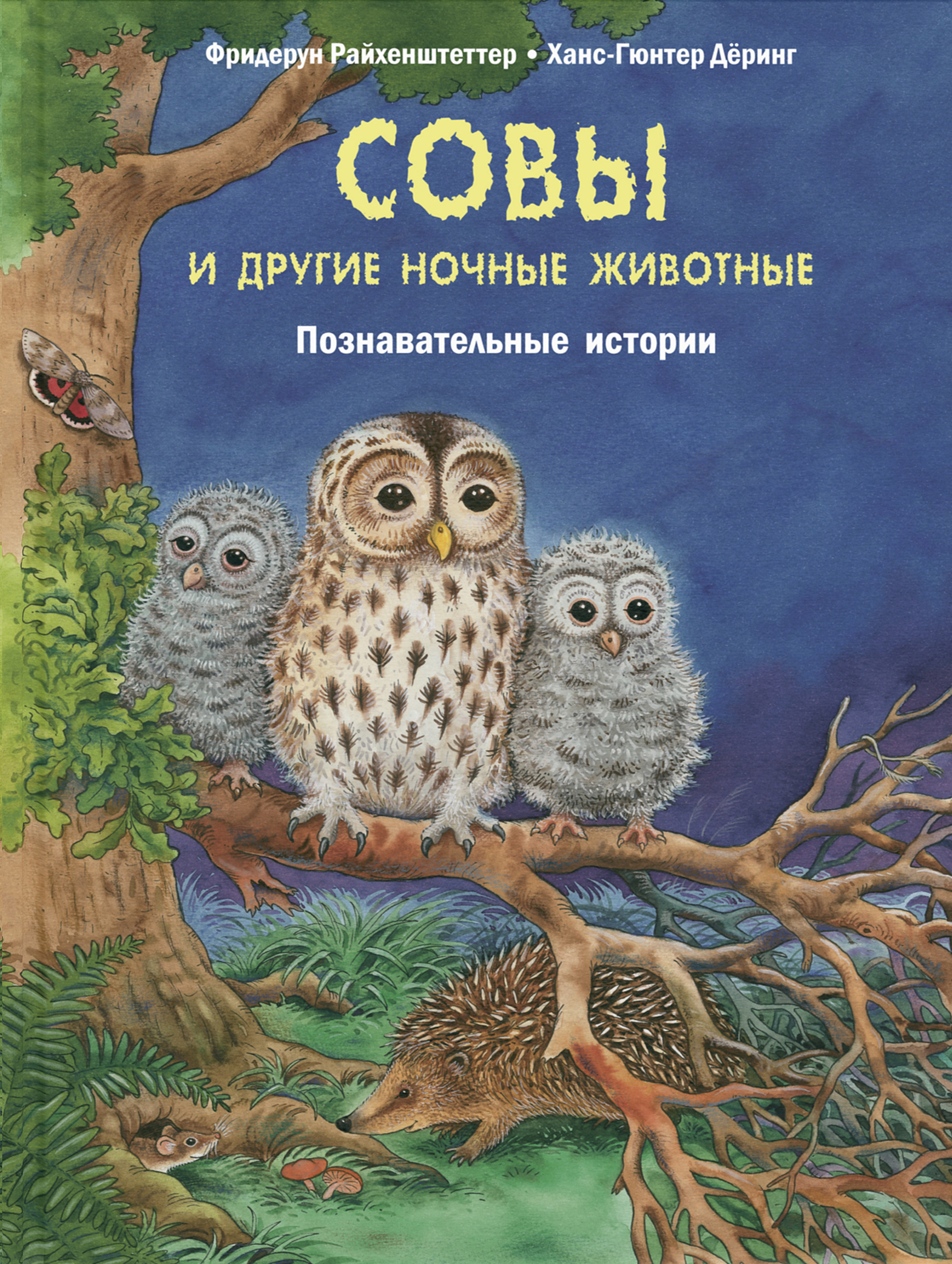 

Совы и другие ночные животные. Познавательные истории - Фридерун Райхенштеттер (978-5-91921-891-3)