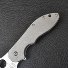 Нож складной Spyderco Domino Titan (длина: 19см, лезвие: 8см), silver - изображение 4