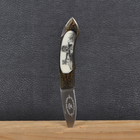 Нож складной GIGAND FC-9788С Лев (длина: 18.0см, лезвие: 7.7см) - изображение 8