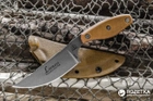 Туристический нож TOPS Knives Lioness Rockies Edition LION-TBF (2000980422043) - изображение 5