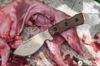 Охотничий нож TOPS Knives Kodiak JAC 2 KJAC-02 (2000980421626) - изображение 6