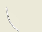 Эндотрахеальные трубки Flexicare для интубации трахеи обычные без манжеты ротовые/носовые размер 4.5 - изображение 1