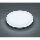Светодиодный светильник накладной Z-LIGHT 24В 6500К / 2160Lm