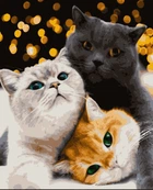 Картина за номерами Artissimo Муркотичні кішки PNX4200 50х60см розпис за номерами набір, фарби, пензлі та полотно