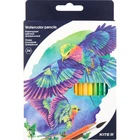 Набір акварельних олівців дитячих Птиці Kite (набір 36кол.)