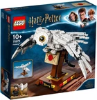 Конструктор Lego Harry Potter Букля 75979