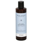 Шампунь для зволоження волосся Artego Rain Dance Hydra Shampoo 250 мл