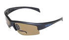 Бифокальные очки с поляризацией BluWater Bifocal-2 (+2.5) polarized (brown) (4БИФ2-50П25)