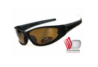 Темные очки с поляризацией BluWater Daytona-4 polarized (brown) (4ДЕЙТ4-50П) - зображення 1