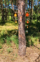 Мінітир "Вертушки в дерево 8 шт мілкан", для калібру 22LR. Сателіт (739) - зображення 3
