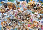 Пазлы Веселое Селфи Коллаж 2000 Элементов
