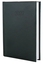 Дневник датированный 2025 Economix Snake A5 336 страниц зеленый (E21633-04)