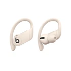 Наушники Beats by Dr. Dre Powerbeats Pro Ivory (MV722)