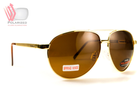 Темные очки с поляризацией BluWater Airforce (brown) (gold metal) Polarized (4ЭИРФ-ЗМ50П) - зображення 1