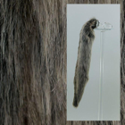 Анальна пробка з штучним хутром Crystal Minx Faux Fur Tails Grey Wolf Faux Tail (16937000000000000) - зображення 2