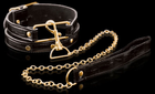 Ошейник с поводком Fetish Fantasy Gold Collar&Leash (16839000000000000) - изображение 3