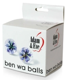 Скляні вагінальні кульки Glass Ben Wa Balls (17624000000000000) - зображення 5