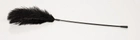 Палочка с перьями Feder цвет черный (14221005000000000) - изображение 3