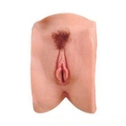 Вагина порнозвезды Chasey Lain из латекса (02218000000000000) - изображение 1