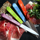 Нож кухонный, бытовой Opinel 112 Paring (длина: 195мм, лезвие: 100мм), салатовый - изображение 2