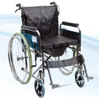 Коляска инвалидная, с санитарным оснащением, без двигателя G120, Karadeniz (Турция) - изображение 1