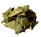 Береза (листья) 0,5 кг - изображение 1