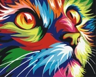 Картина по номерам Радужный кот (BS4228) Brushme 40x50 см