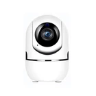 Внутренняя панорамная камера WiFi Tervix Pro Line Minion Cam WiFi