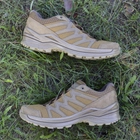 Чоловічі тактичні кросівки LOWA Innox PRO Lo TF 310835/0731 40 Coyote OP (2000980496051) - зображення 7