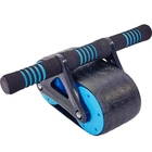 Колесо для пресса ролик для пресса Zelart Wheel My Fit 5728 Blue-Black