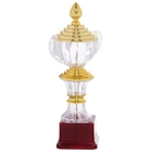 Кубок спортивный с ручками приз спортивный SP-Sport Heroe 895-2 высота 30 см Gold