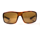 Очки поляризационные защитные 2в1 BluWater Babe Winkelman Polarized (brown) коричневые - изображение 3