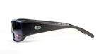 Бифокальные поляризационные очки BluWater Bifocal-1 (+3.0) Polarized (gray) серые - изображение 2
