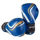 Боксерські рукавички CLUB FGT Flex